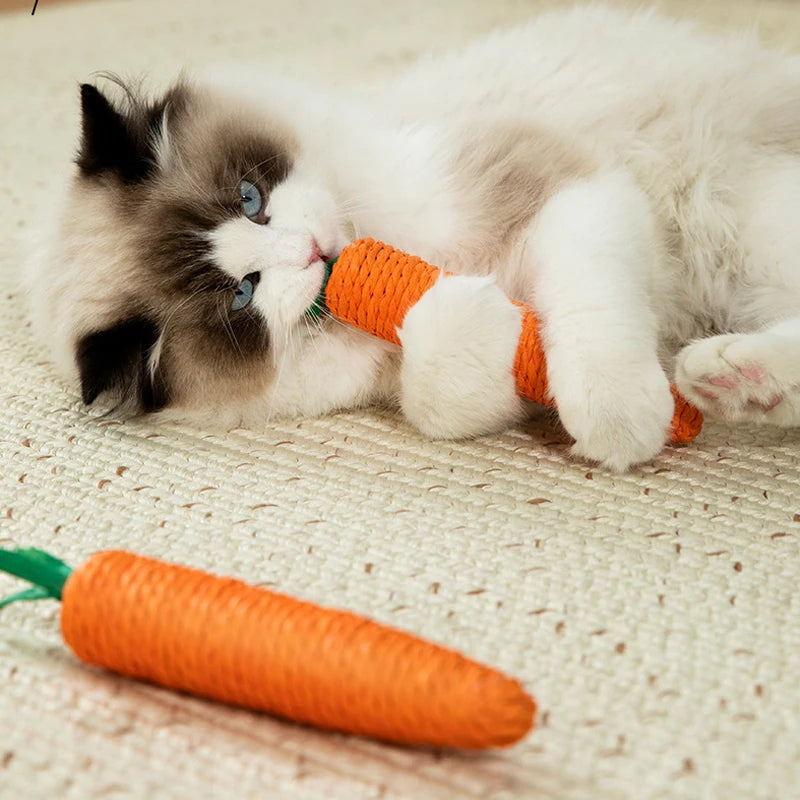 CarrotPlay Cat™