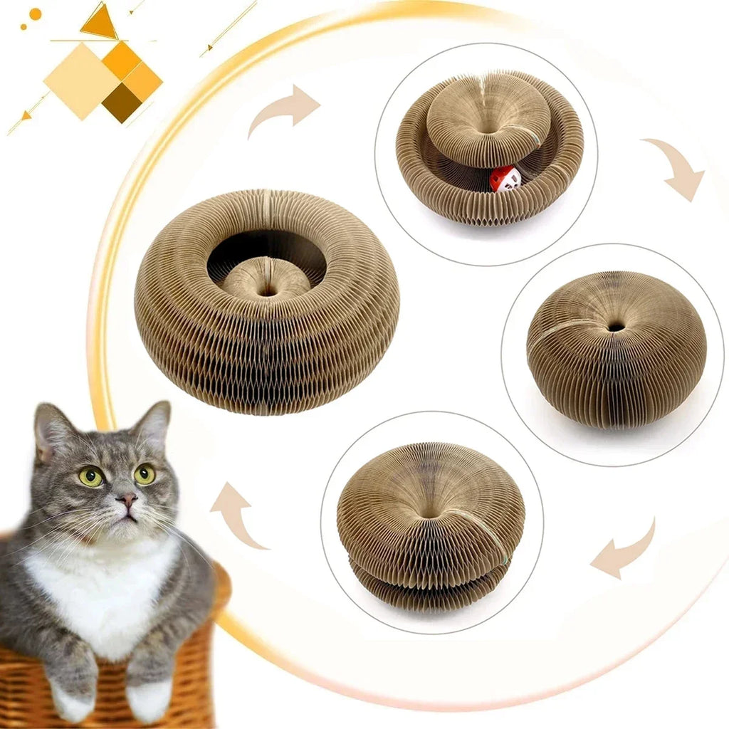 SpiralPlay Cat™