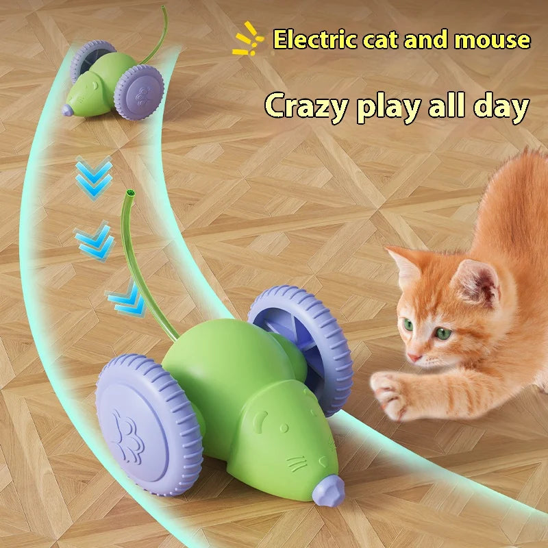 CrazyMouse Cat™