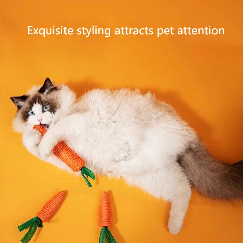 CarrotPlay Cat™